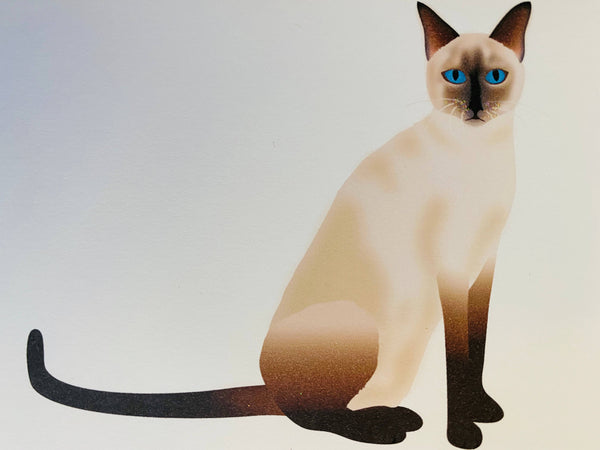 Siamese Cat